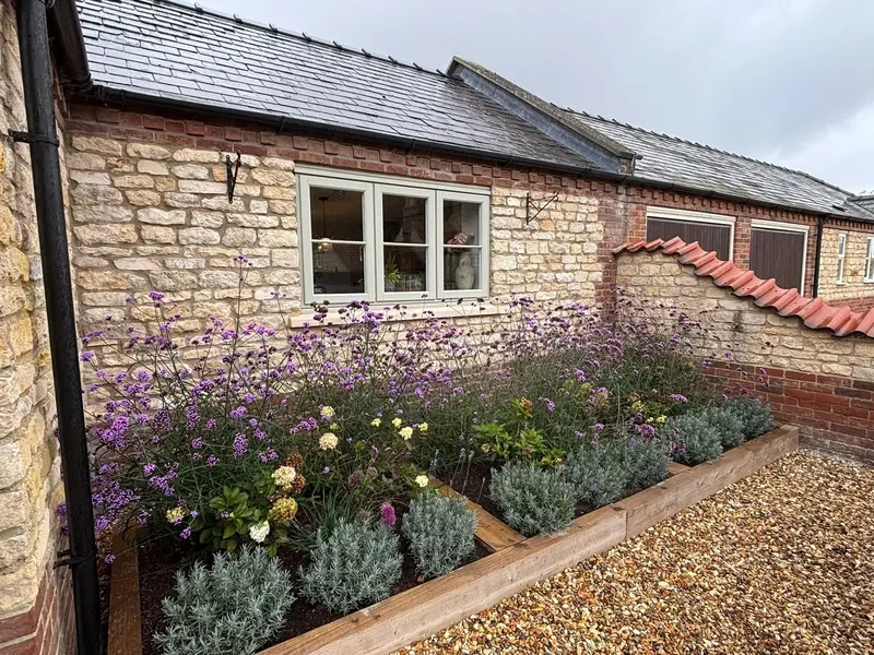 Stone cottage with a new raised timber planting bed full of lavender, beside a gravel path